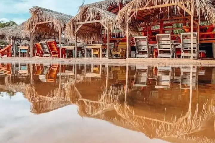 Galeria de Imagem
