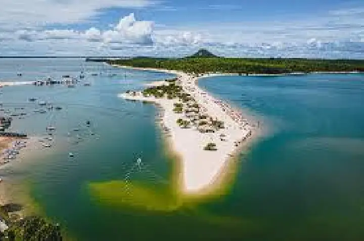 Galeria de Imagem