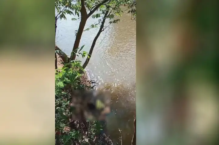 Corpo de mototaxista é encontrado no rio São Pedro, às margens da RO-383