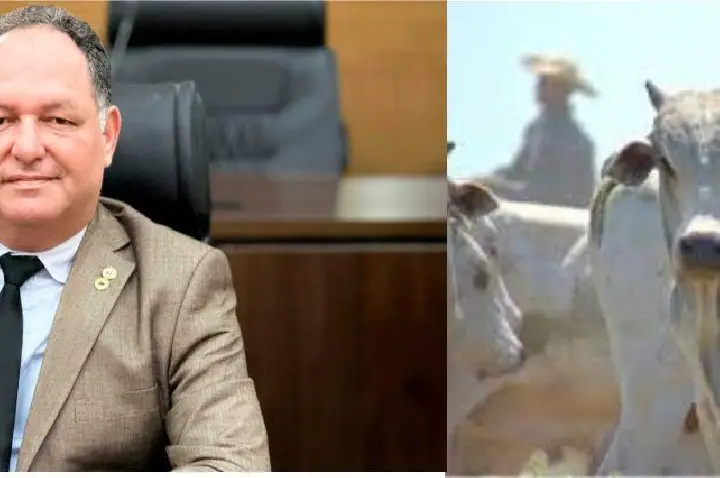 Deputado Pedro Fernandes destaca redução do ICMS como impulso à pecuária de Rondônia