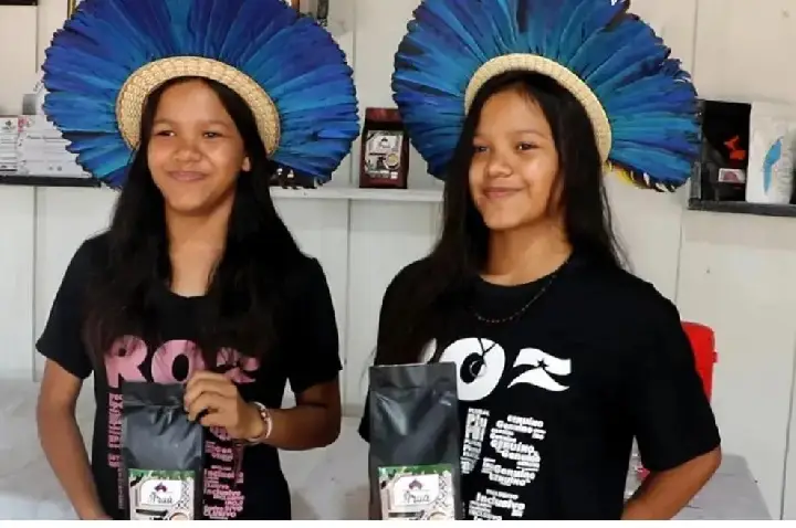 Produção de café indígena em Rondônia ganha destaque com práticas tradicionais e premiações