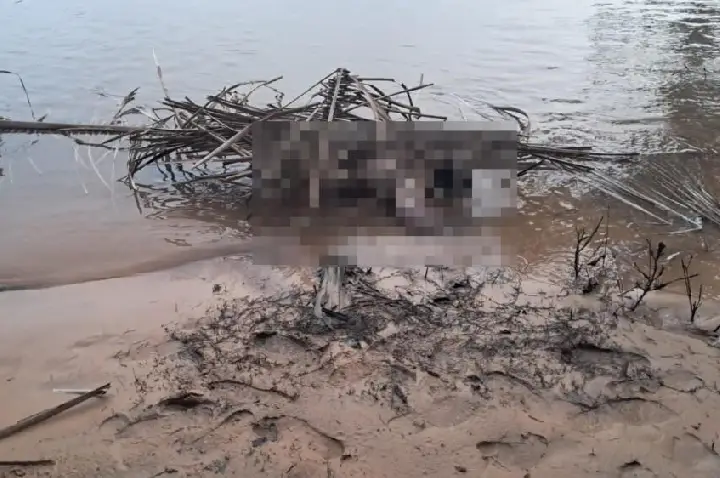 Tragédia no Rio Machado: cinco vítimas de naufrágio são encontradas em Machadinho d’Oeste