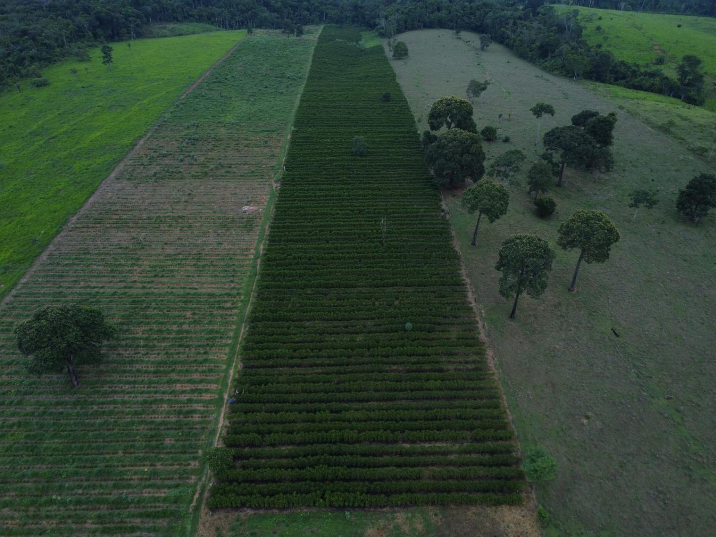 Conheça o 2º melhor café do nosso município.