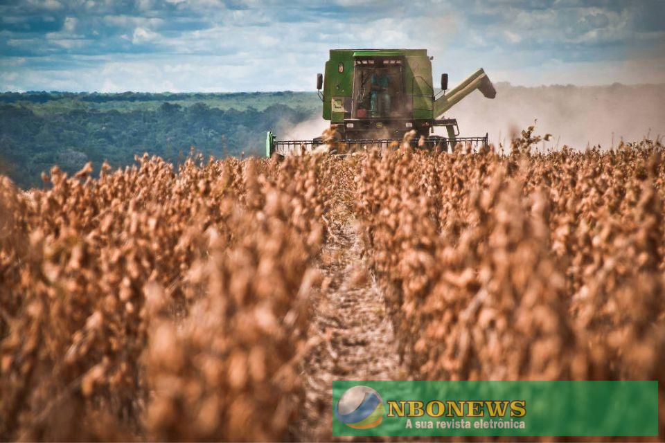 Em meio à crise hídrica, safra de soja em Mato Grosso deve ter quebra de 20%, diz pesquisa da Aprosoja