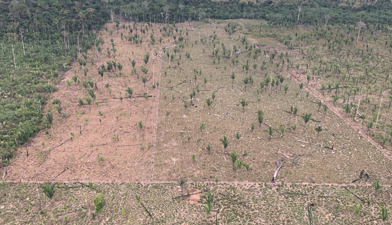 Justiça nega recurso de apelação e invasores do Parque Guajará-Mirim devem respeitar ação do MPRO
