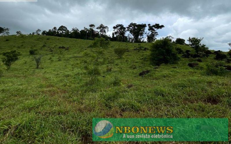 Licença Ambiental é emitida para mineração de ouro e cobre, em Novo Horizonte d’Oeste