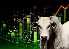 Cotação do boi gordo