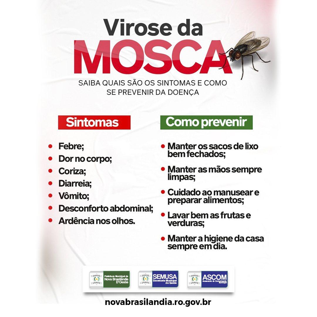 Secretaria Municipal de Saúde de Nova Brasilândia faz alerta sobre a Virose da Mosca
