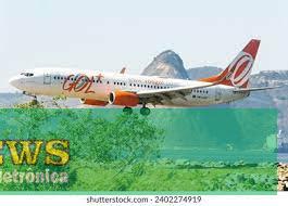 Aeroporto de Rio Branco registrou dois incidentes com aves colidindo em aeronaves