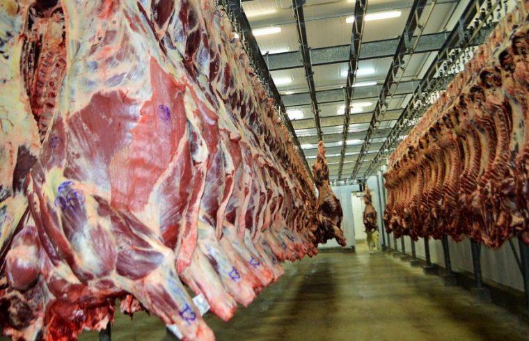 Exportações de carne ultrapassam os 960 milhões de dólares em Rondônia