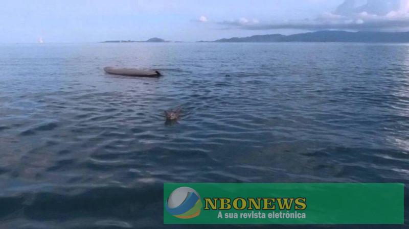 Tragédia em Pimenteiras do Oeste: Dois homens morrem em acidente de canoa