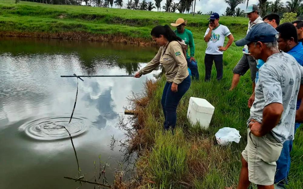 Ação da Emater-RO em Rondominas visa boas práticas de manejo na pisciculturaWania