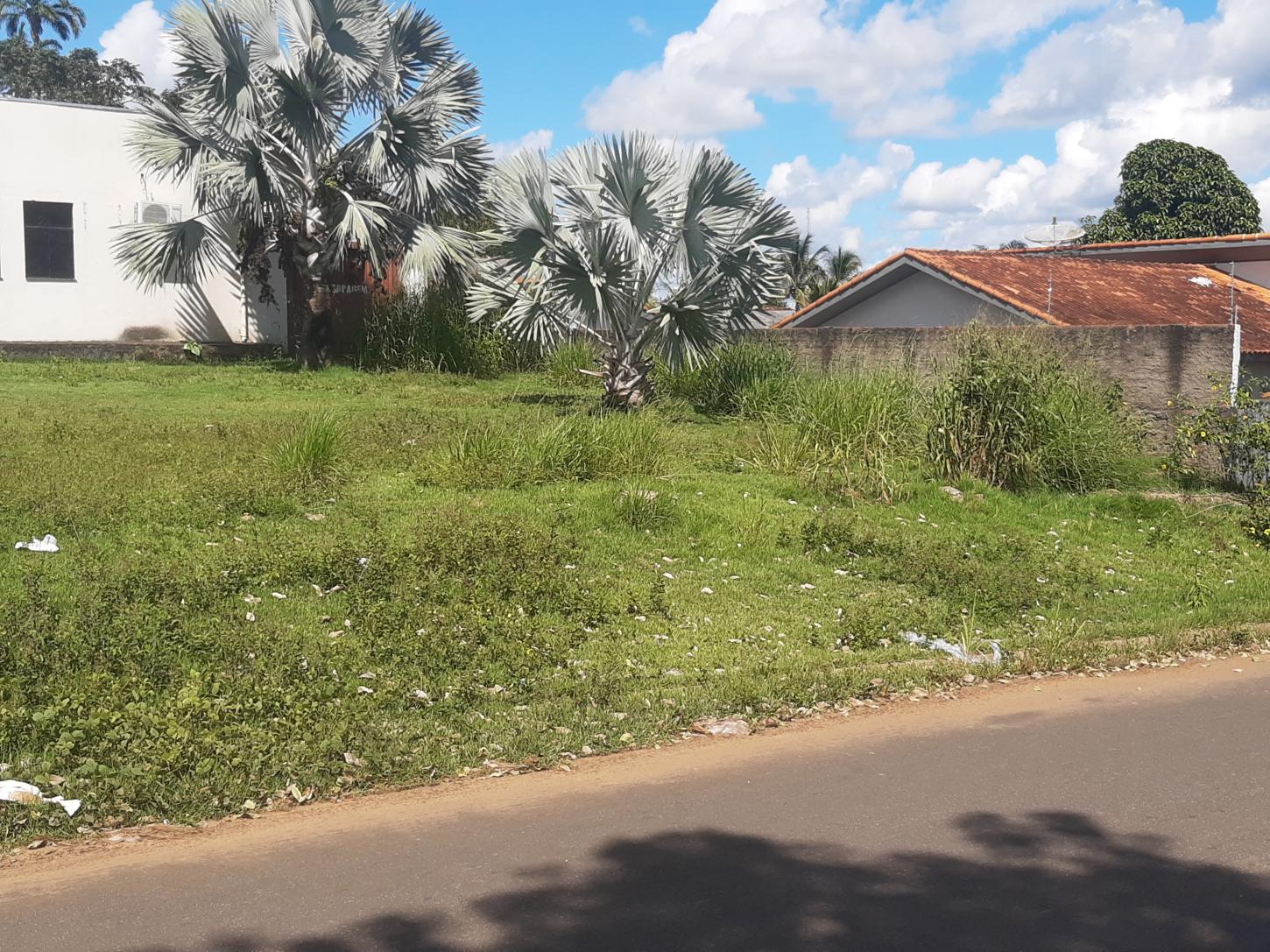 Câmara Municipal deveria ser bom exemplo para os munícipes ao manter seu jardim com a grama aparada e sem mato
