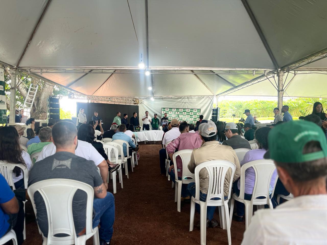 Início da colheita do café em Rolim de Moura destaca parcerias e resultados na cadeia produtiva