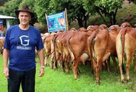Quem se importa com os pequenos e médios produtores de leite do Brasil?