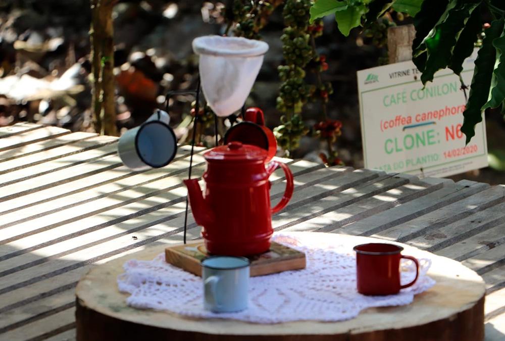 Emater-RO incentiva melhoria da qualidade do café com o projeto Degusta Café 80+