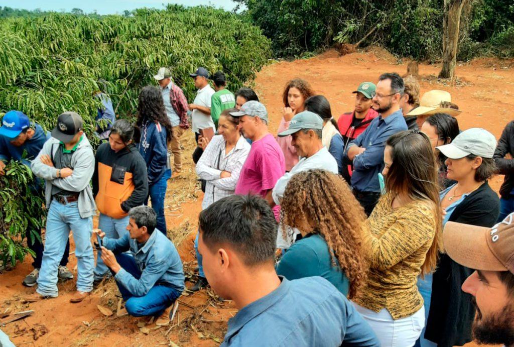 Emater-RO mostra diferencial no plantio de café clonal durante Dia Especial realizado em Cerejeiras