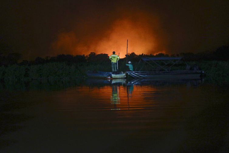 STF dá prazo para Congresso aprovar lei de proteção do Pantanal