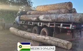 Trabalhador temvida ceifada após tora de madeira cair sobre ele