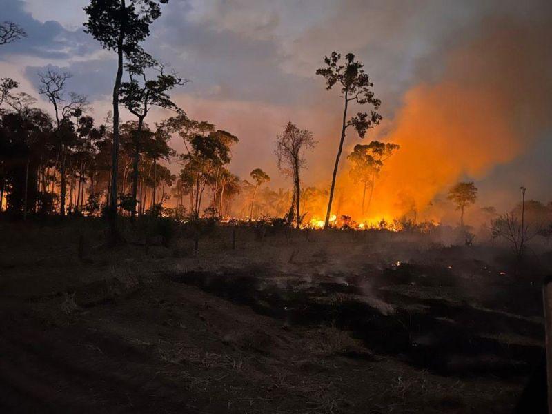 Fogo já consumiu mais de 7 mil hectares de mata e pasto na região de Alvorada do Oeste