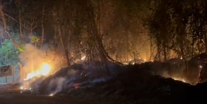 Incêndios devastam hectares de pastagens e vegetação nativa na zona rural de Cacoal