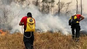 Rondônia declara situação de emergência por incêndios florestais