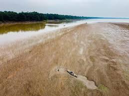 Estiagem em 2024 pode ser a maior já registrada no Brasil