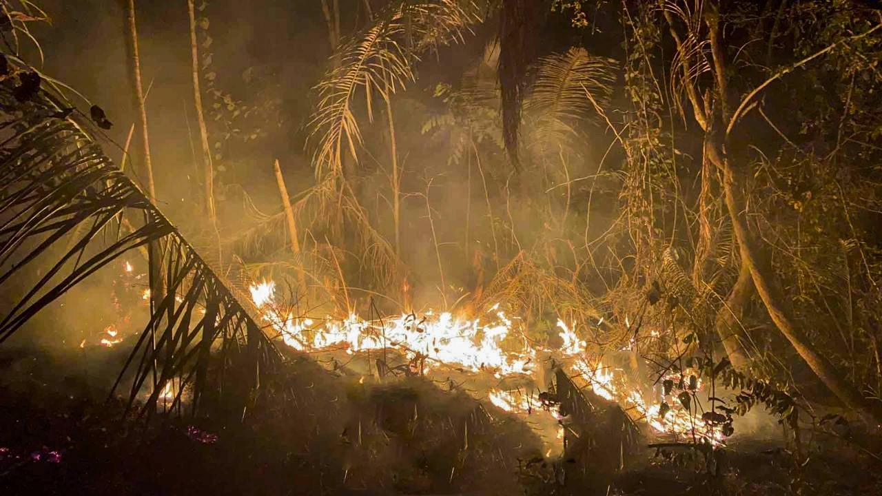 Juiz federal manda União agir contra incêndios em Rondônia e diz que medidas do governo estadual 