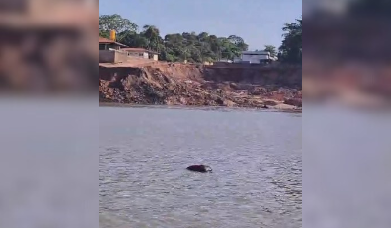 VÍDEO: corpo boia próximo ao Porto da Terra Preta, em Manacapuru no AM