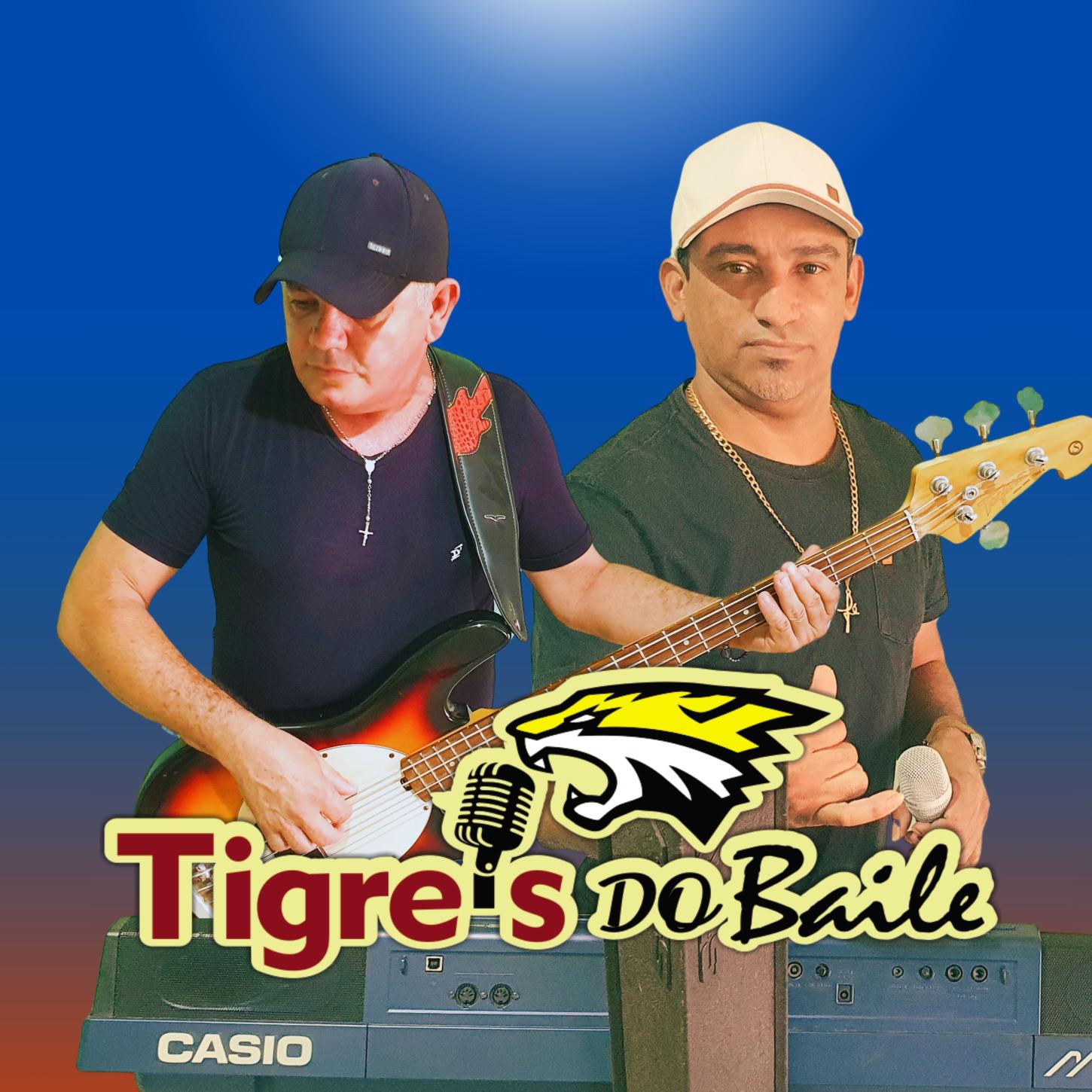 Tigres do Baile: O Fenômeno Musical da Zona da Mata em Rondônia