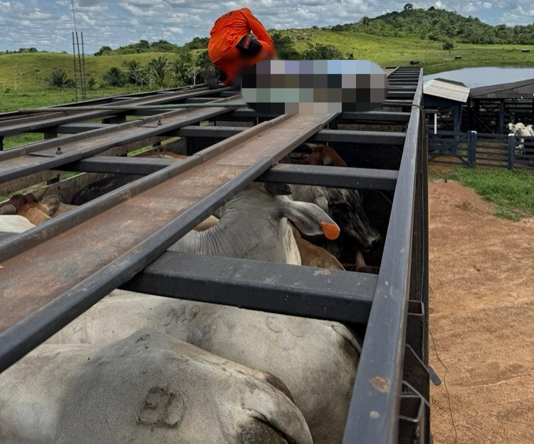 Jaru: Motorista de caminhão boiadeiro morre vítima de descarga elétrica