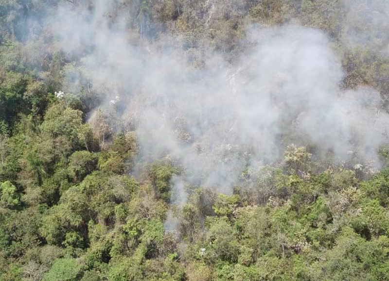 Suspeito de causar incêndio florestal que matou mais de 50 cabeças de gado em Rondônia é preso