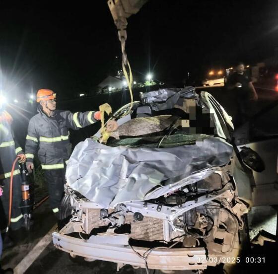 VÍDEOS - Motorista de Corolla atropela quatro cavalos na MT-170 e morre