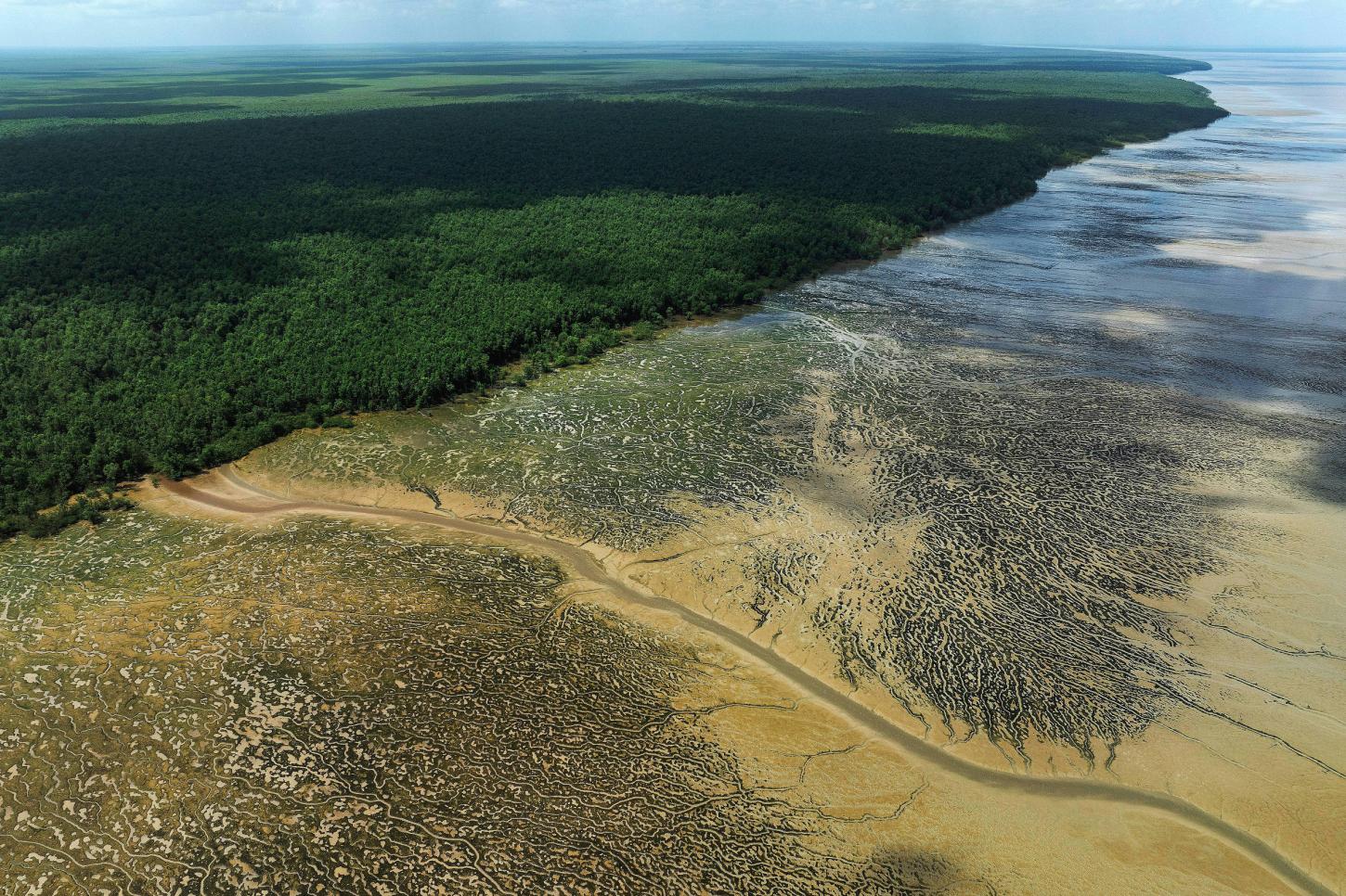 Exploração de petróleo na Foz do Amazonas: ameaça ambiental ou chance de desenvolvimento?