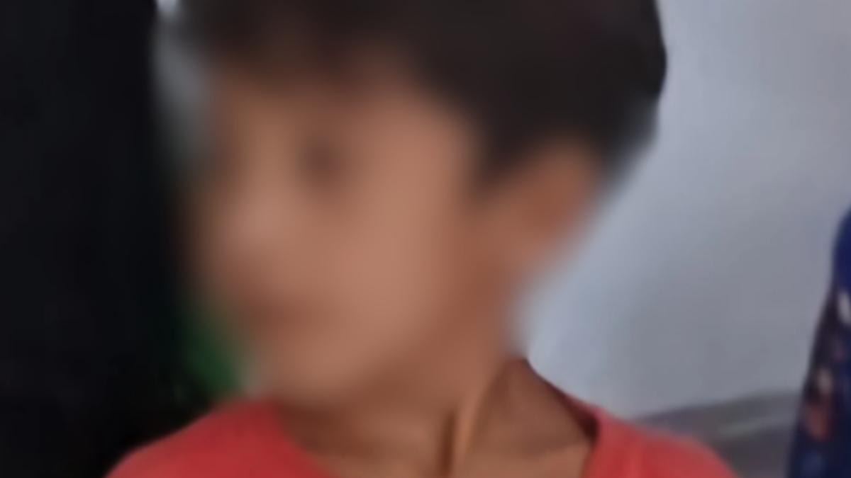 Criança desaparece após pescaria no Amazonas; suspeita é de ataque de jacaré