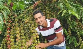 Produtor de café morre eletrocutado ao manusear ‘máquina recolhedora’ em Alto Alegre dos Parecis