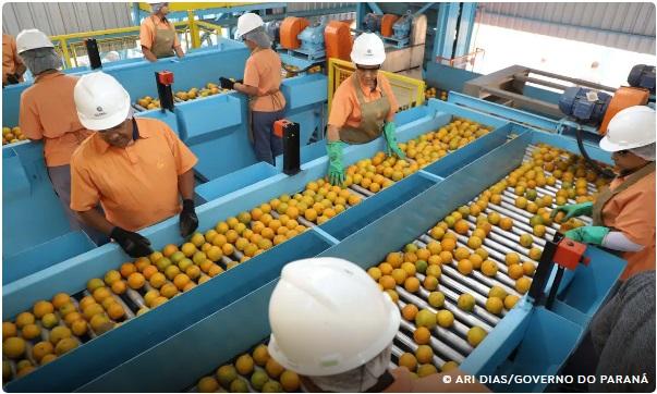 Confira a lista de quase 700 produtos que não serão taxados pelos EUA