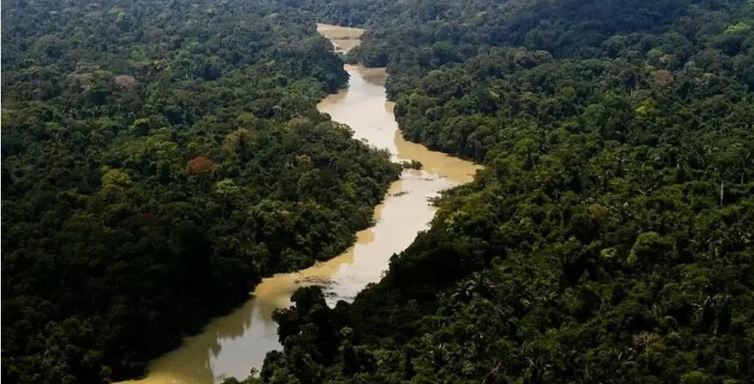 Estudo revela que áreas mais importantes para a biodiversidade na Amazônia recebem menos investimentos