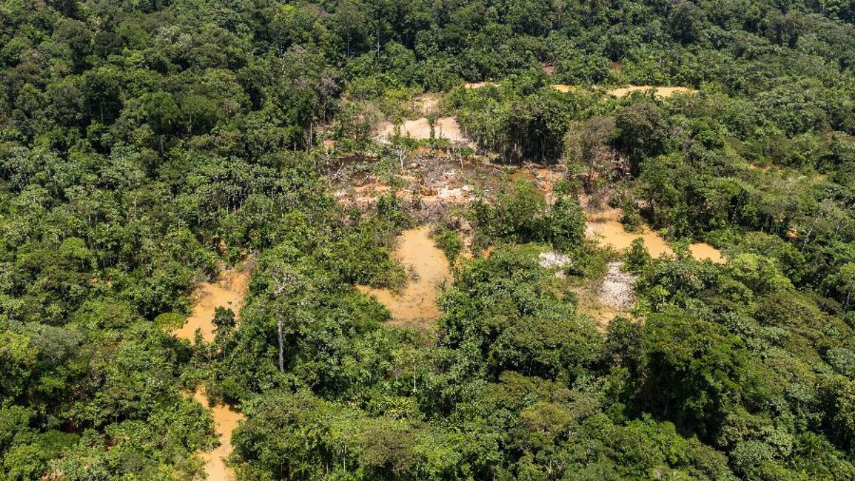 Dez municípios concentram 30% do desmatamento da Amazônia Legal; confira lista