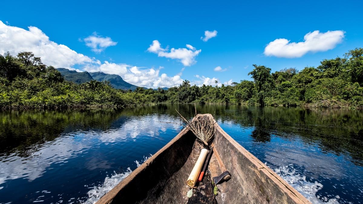 Dia da Amazônia: veja 7 curiosidades que você provavelmente não conhecia sobre a região
