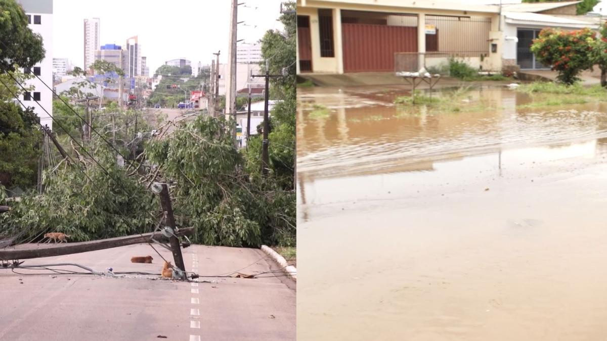 VÍDEO: Forte chuva deixa moradores ilhados e provoca queda de árvore na capital; confira a reportagem