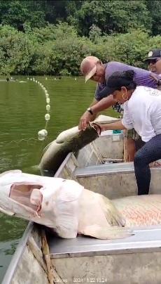 COMUNIDADES RIBEIRINHAS DE PESCADORES DE LÁBREA COBRAM SOLUÇÃO URGENTE PARA ATRASO POLÊMICO NO PAGAMENTO DO SEGURO DEFESO