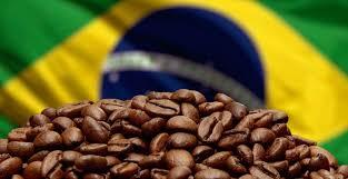 Brasil lidera superávit global de café em 2026