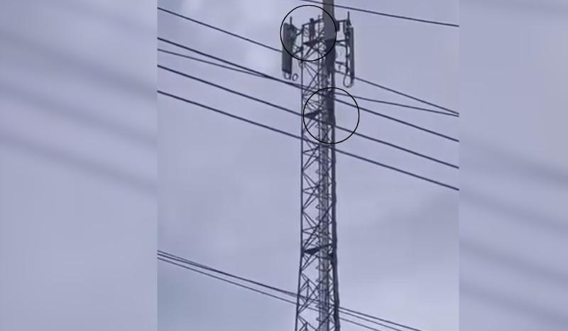 VÍDEO: crianças são flagradas escalando torre de telefonia no AM
