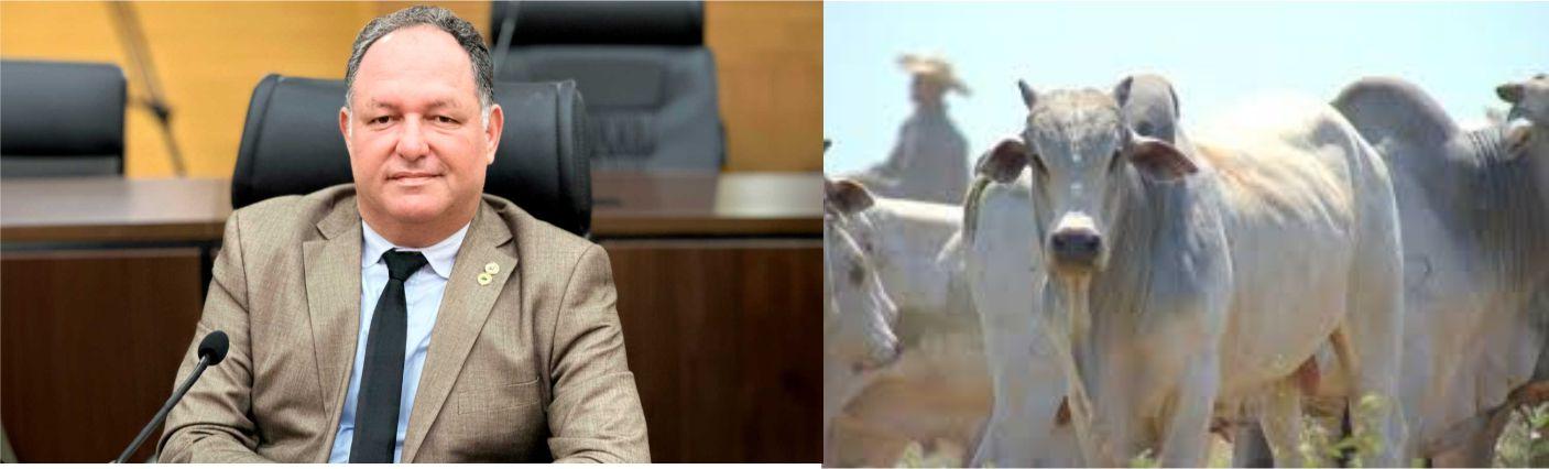 Deputado Pedro Fernandes destaca redução do ICMS como impulso à pecuária de Rondônia