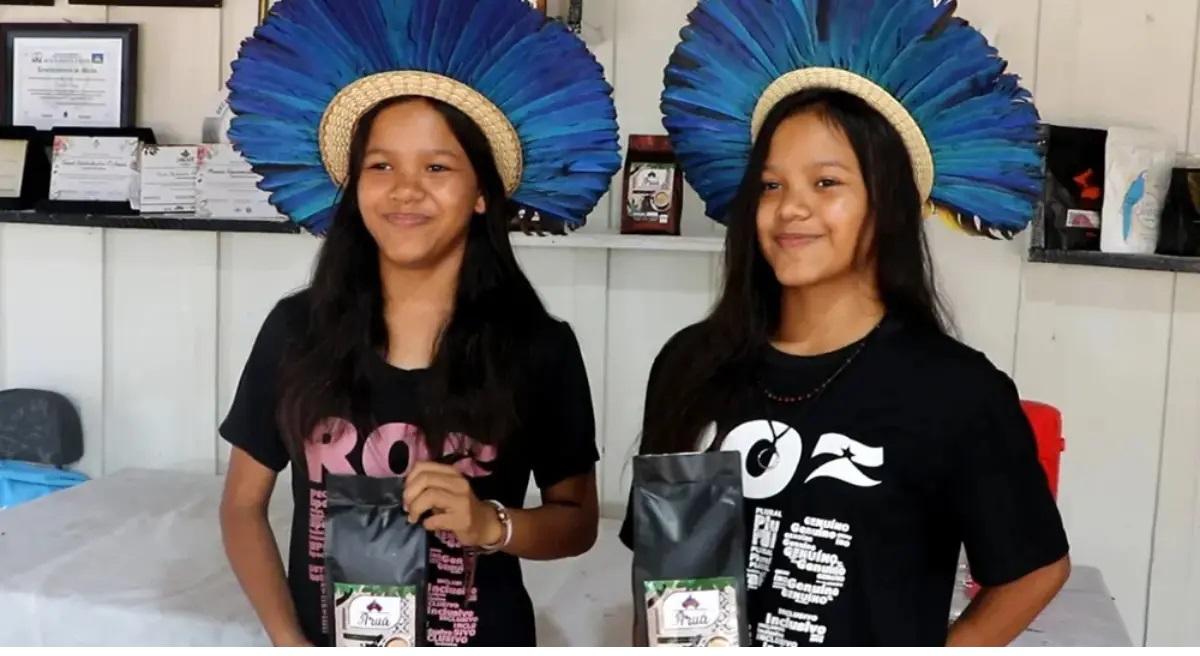 Produção de café indígena em Rondônia ganha destaque com práticas tradicionais e premiações