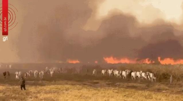 Município de MT decreta emergência e recebe reforço de aviões para combater incêndio que já dura 5 dias
