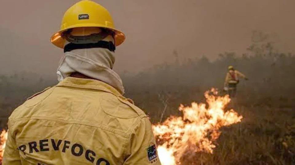 Incêndios no Amazonas exigem 13 aeronaves e mais de 390 horas de combate aéreo