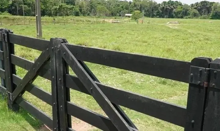 Ameaças de morte e milhões de reais: os bastidores de um esquema investigado em Rondônia