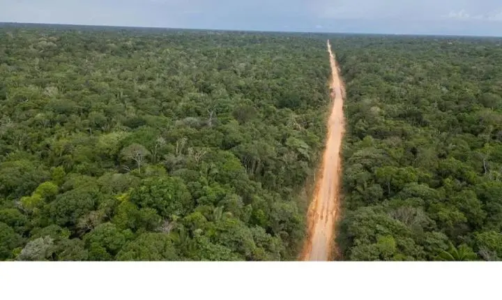 CNA percorre BR-319 e aponta desafios para o escoamento da produção entre Rondônia e Amazonas